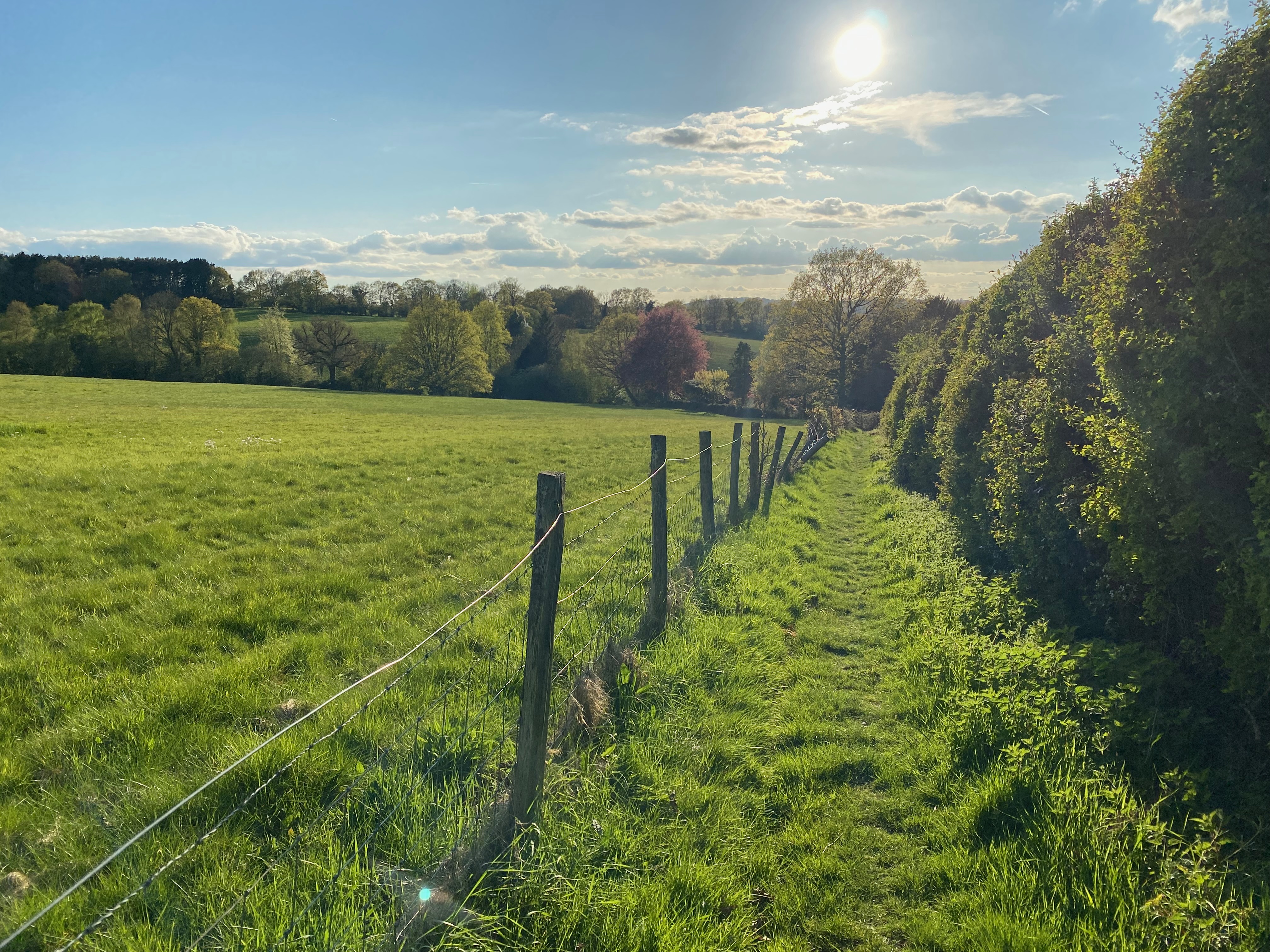 Late evening sun over the fields