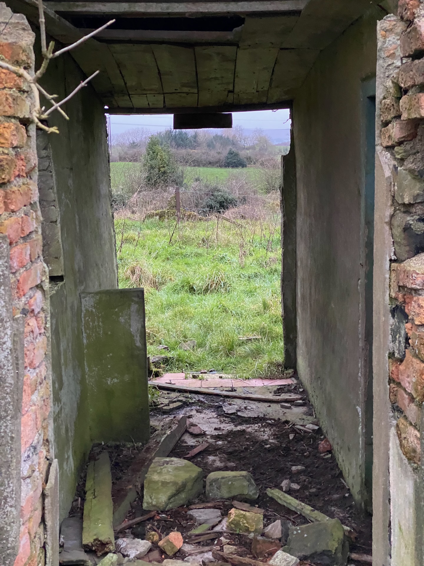 This little lean-to was (we think) built by my Granda for storage.