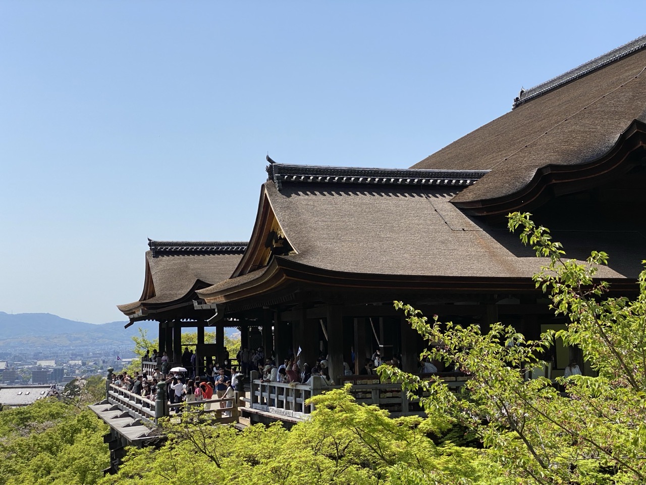 Kiomizu-dera on the edge of the hill with a blue sky in the background