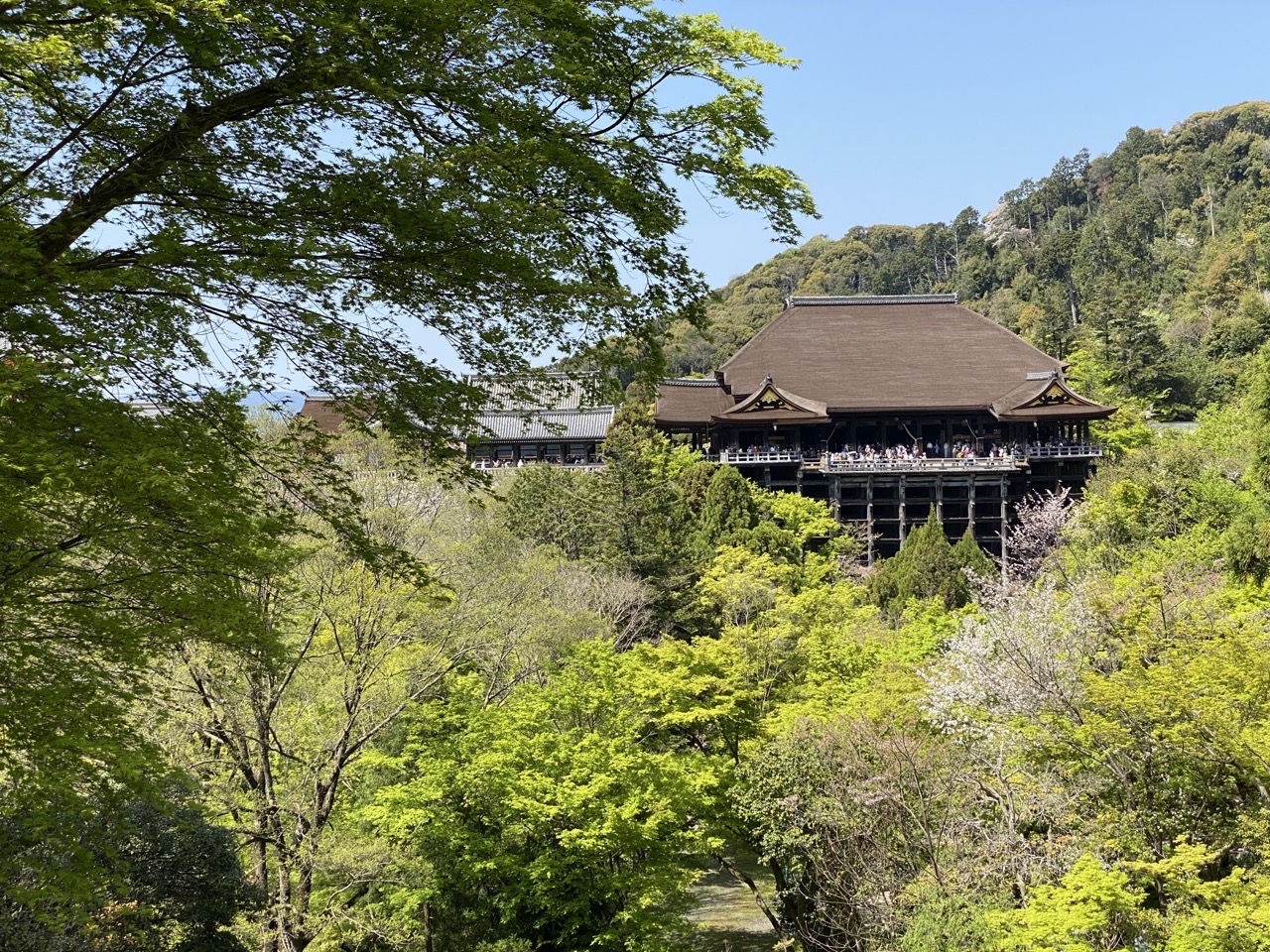 Another view of Kiomizu-dera, from lower down among the trees