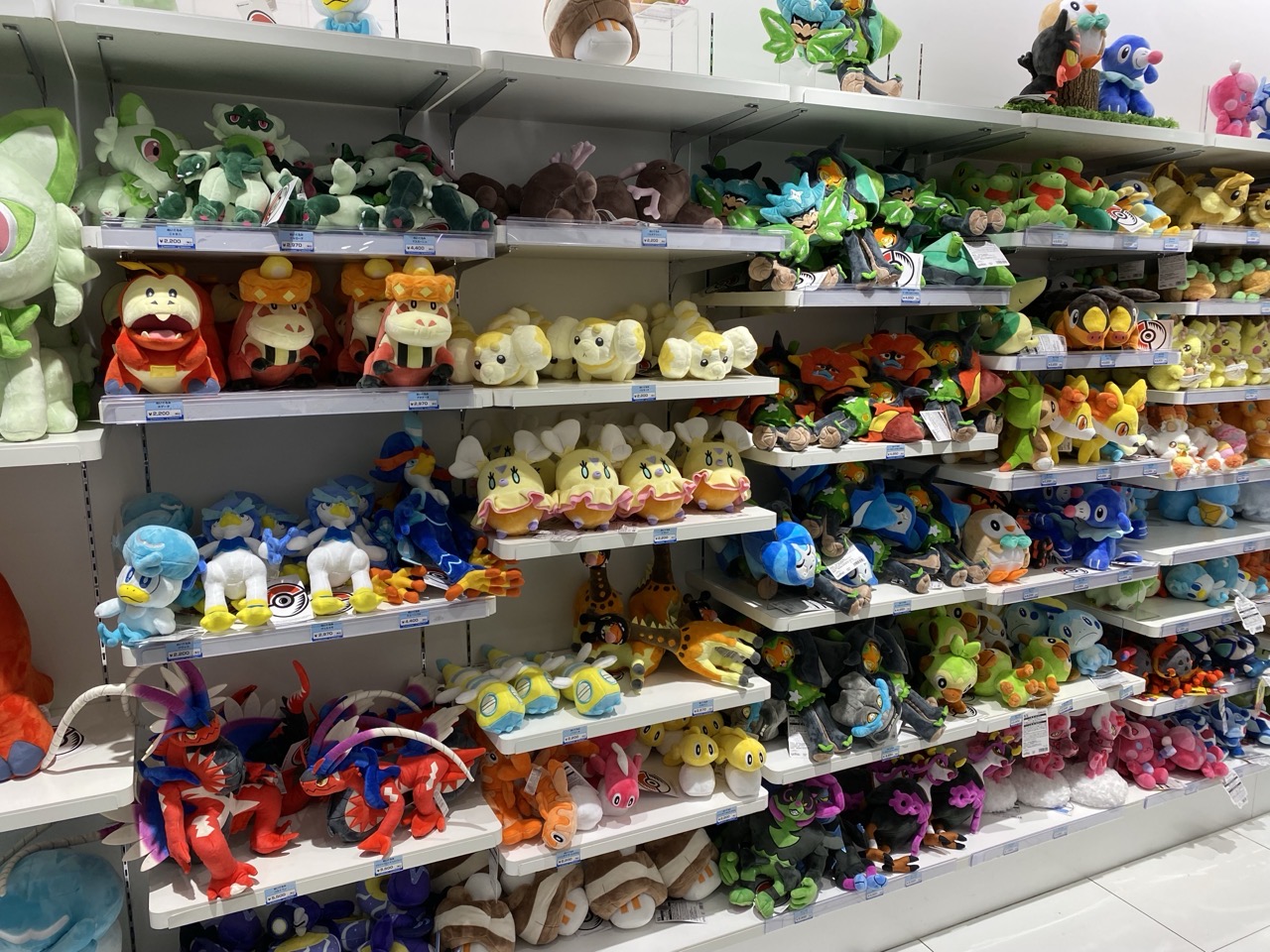 Lots of plushies