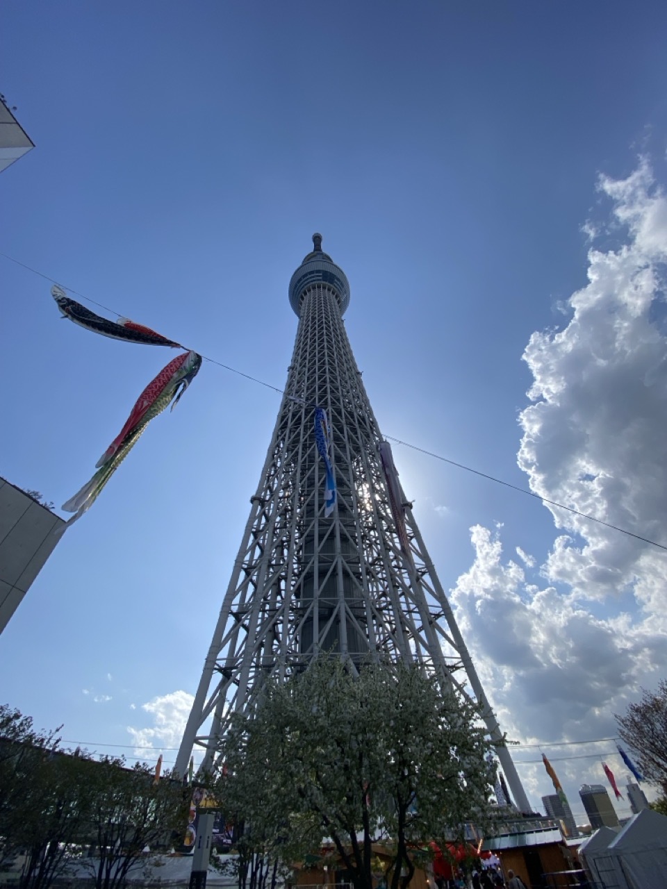 The sky tree tower seen from the ground
