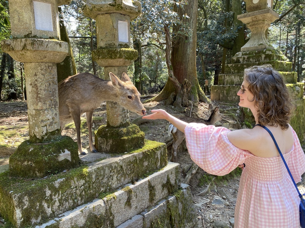 Lucy feeding a friendly deer