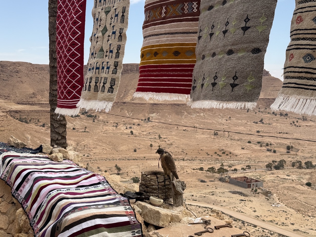 A falcon (I think) overlooking a cliff with rugs hanging
