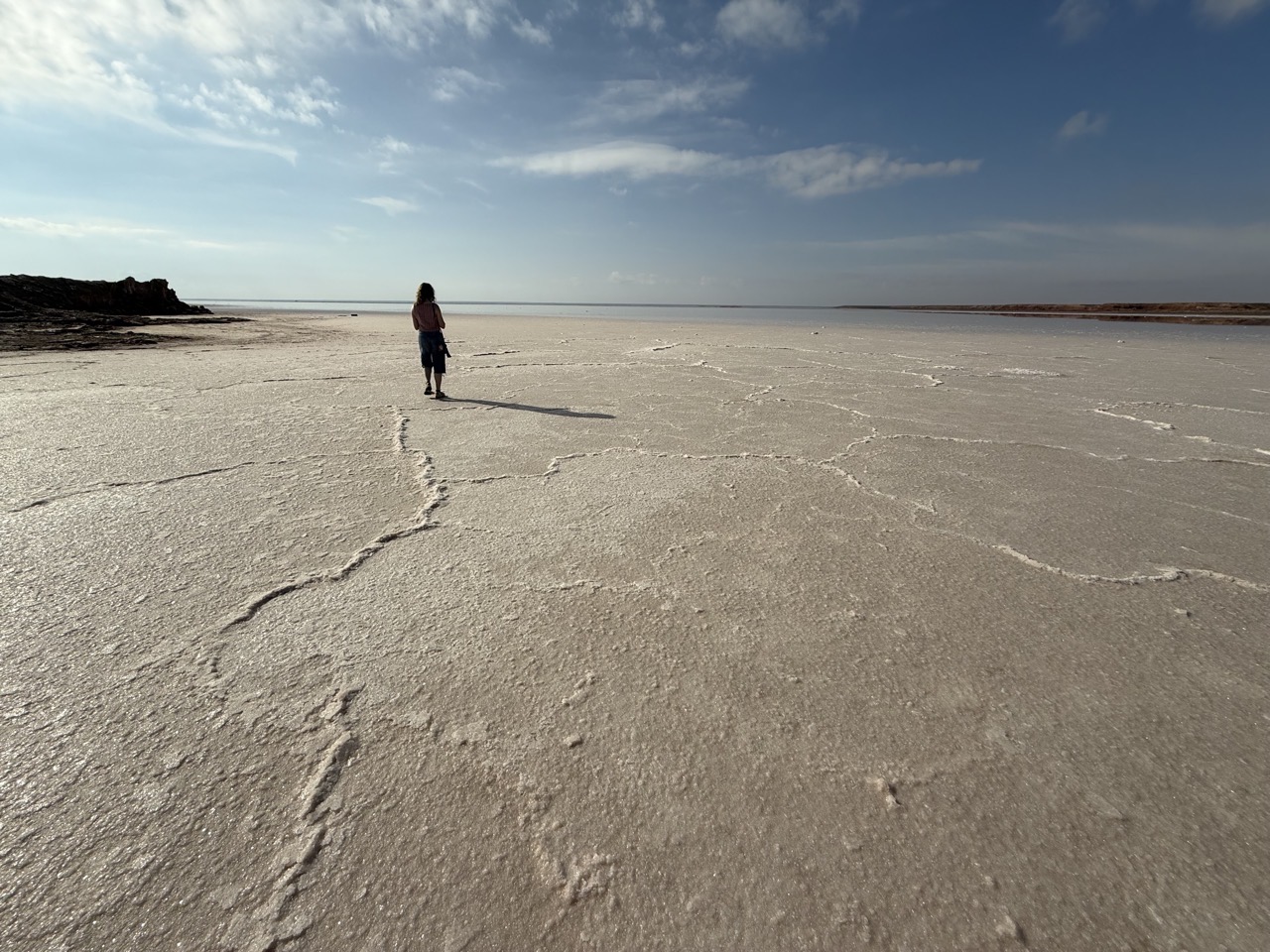 Wide angle shot of Lucy on the salt flats
