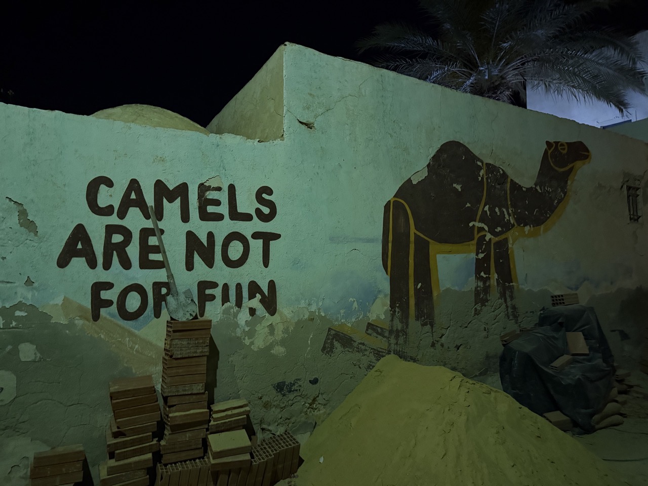 Some street art in Djerba saying CAMELS ARE NOT FOR FUN