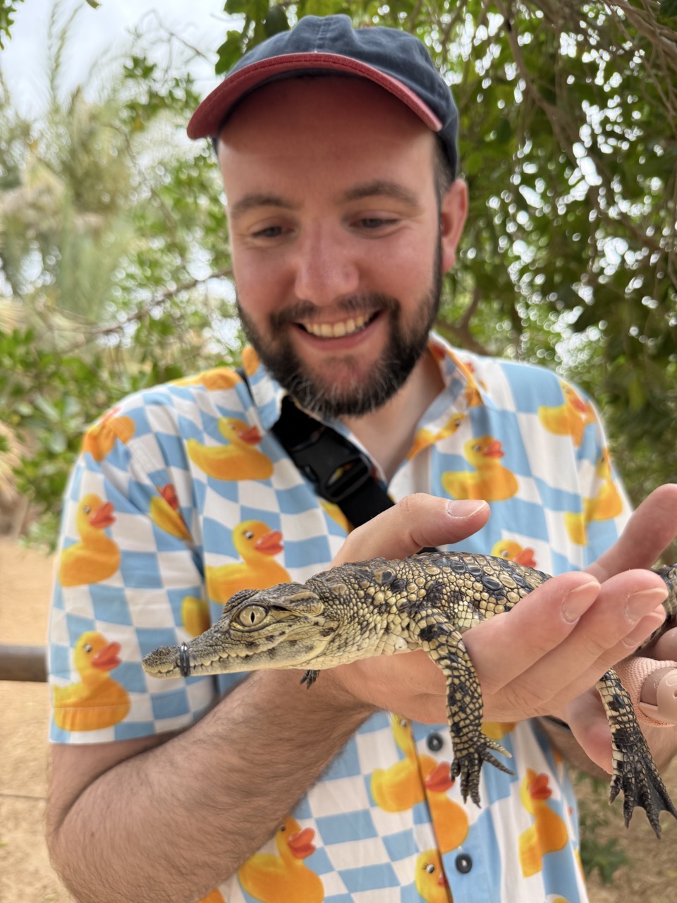 Me holding a baby crocodile. He’s got a little thing holding his mouth shut but he seemed happy enough. He had a very soft belly and liked being stroked.