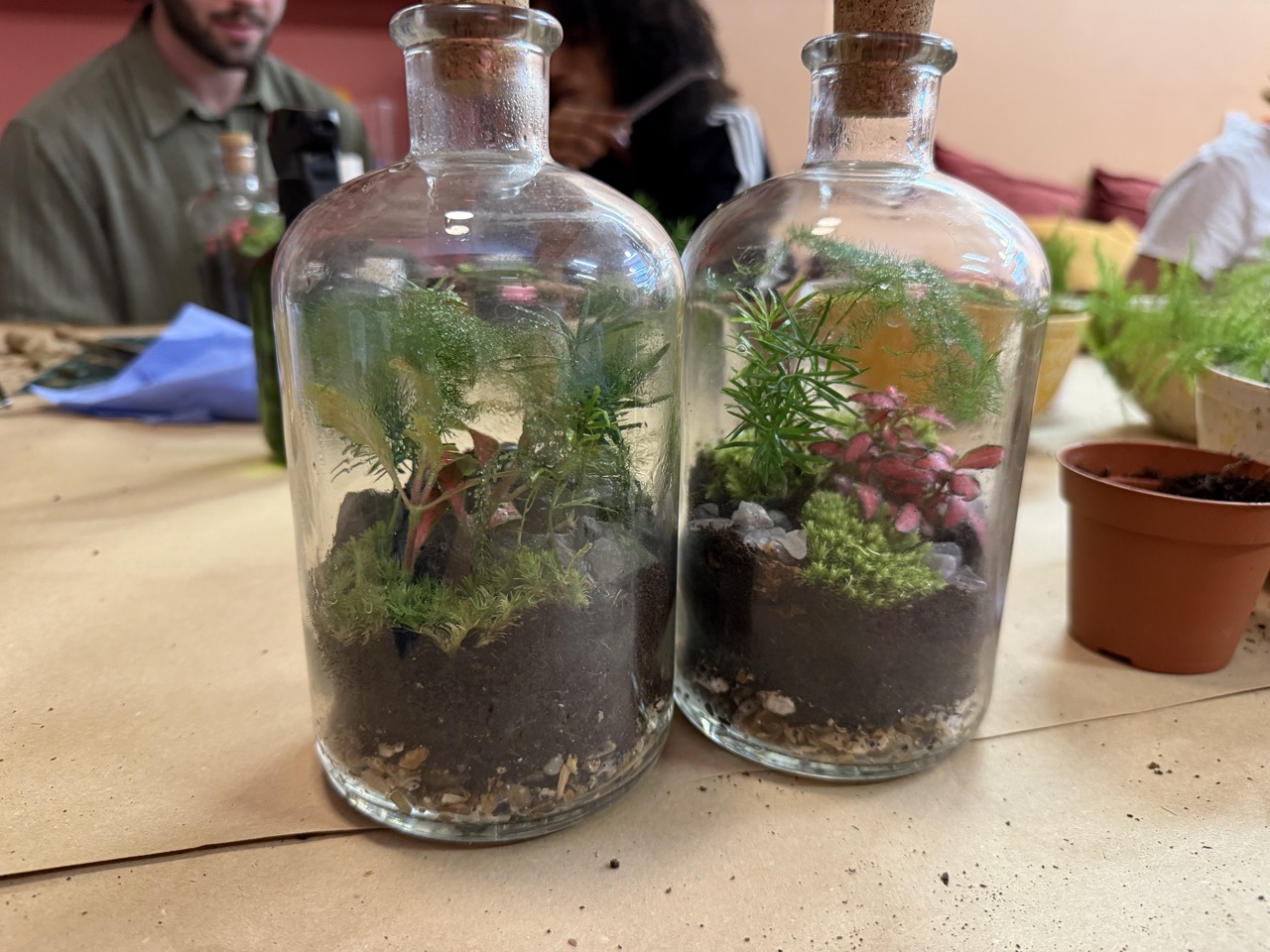Our completed terrariums. The one on the left is by me and Lucy which is why it’s so messy