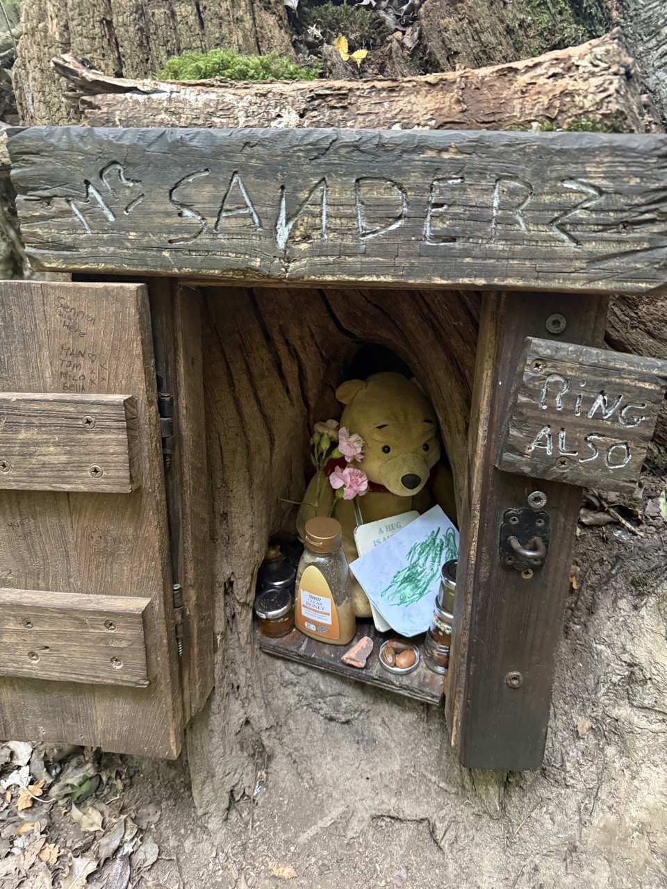 Pooh in his house