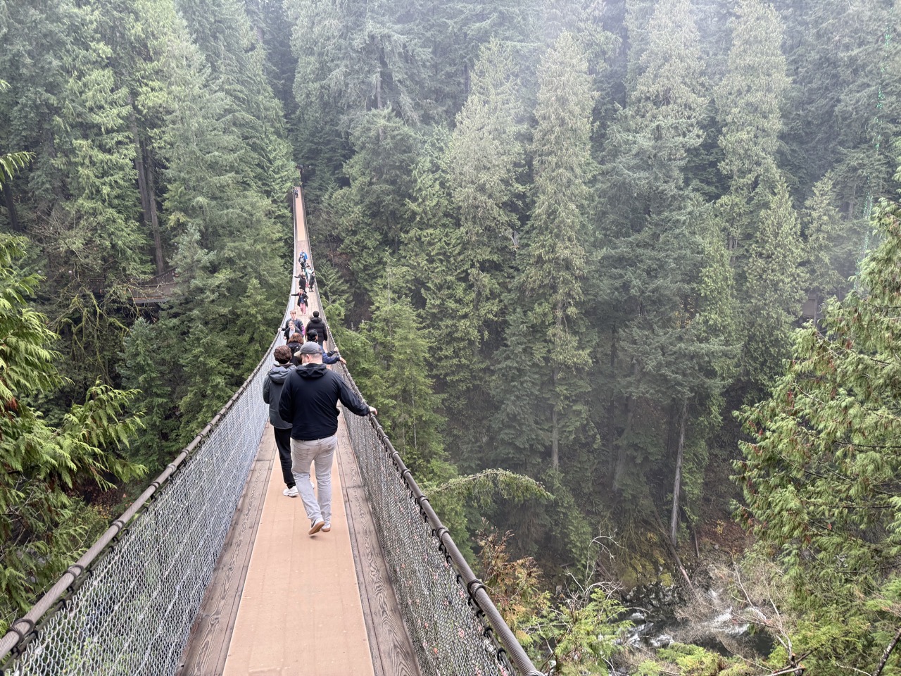 Some people on a suspension bridge with a forest and gorge