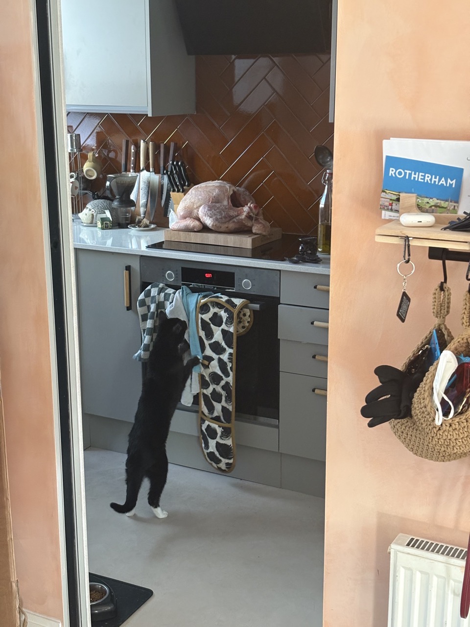 A black and white cat stands up trying to reach a turkey on the counter top