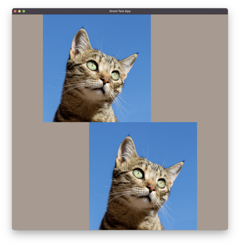A screenshot showing two cats rendered in a window.