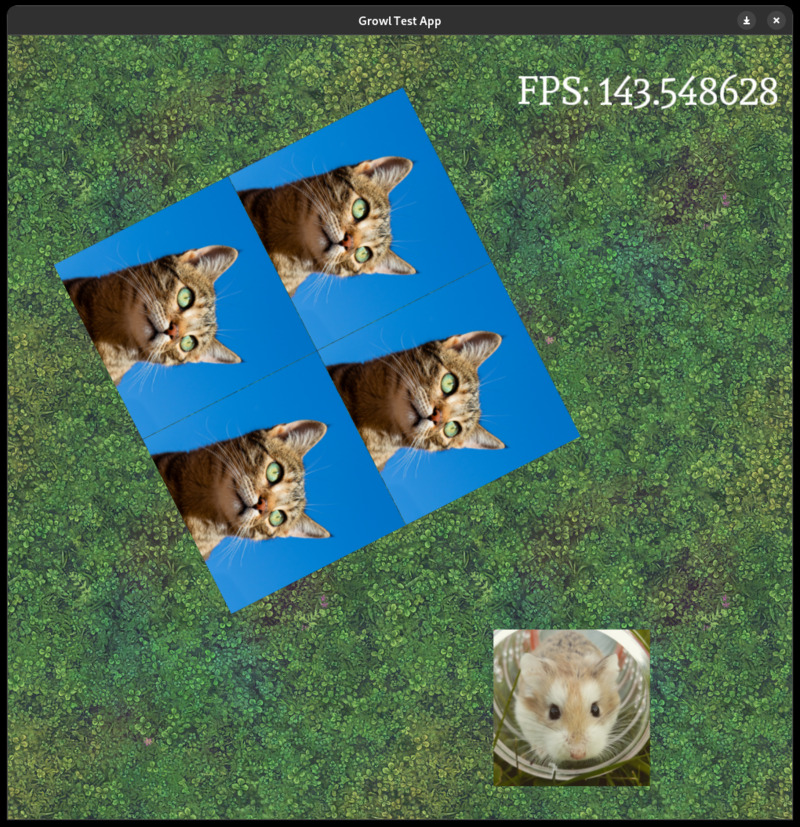 A screenshot showing some cats in a grid, rotated